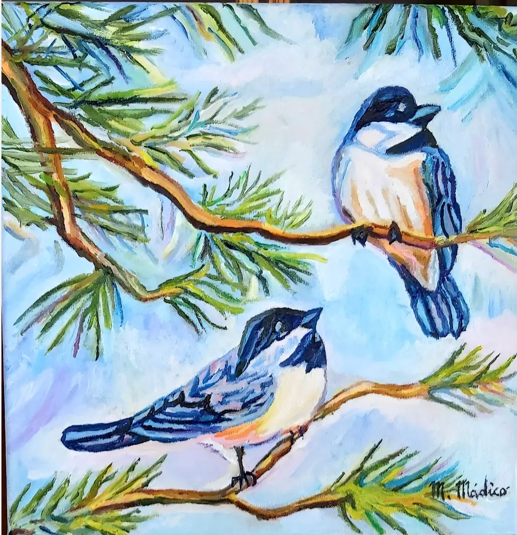 Pajaros Tangara De Antifaz( Originarios de Sudamerica )
