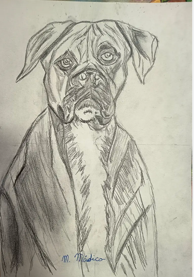 Perro Boxer ( Boi ) a Lamina Carboncillo